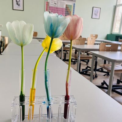 STEM 2
